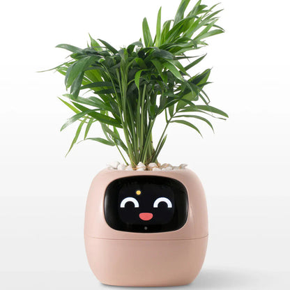 🪴 SMART PET PLANTER