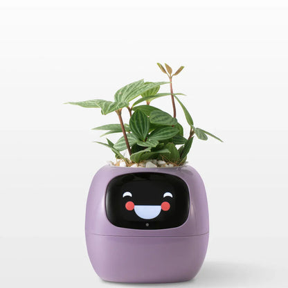 🪴 SMART PET PLANTER