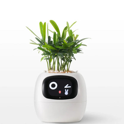 🪴 SMART PET PLANTER