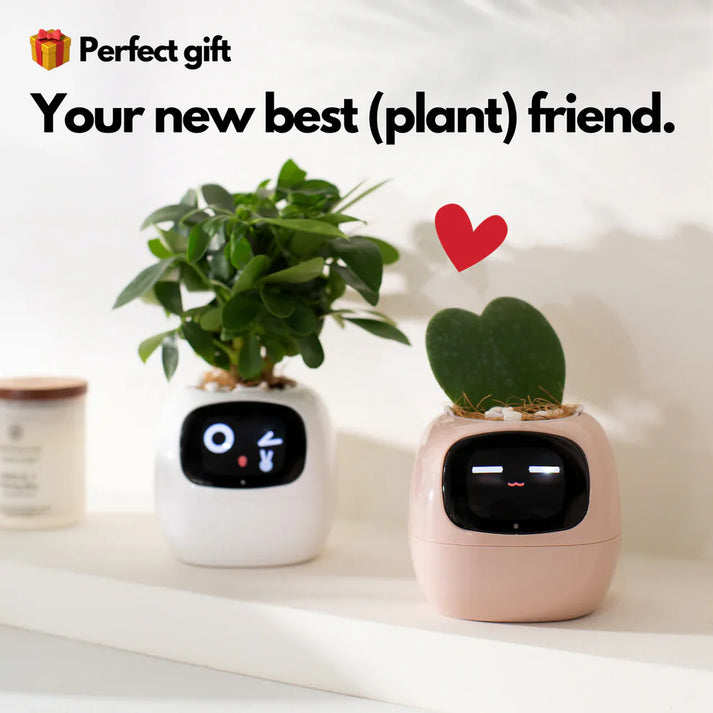 🪴 SMART PET PLANTER