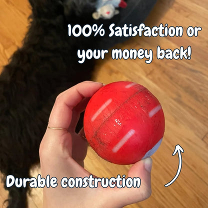 🔥2025 Hot Sale 50% OFF💥-Interactive Dog Toys Dog Ball