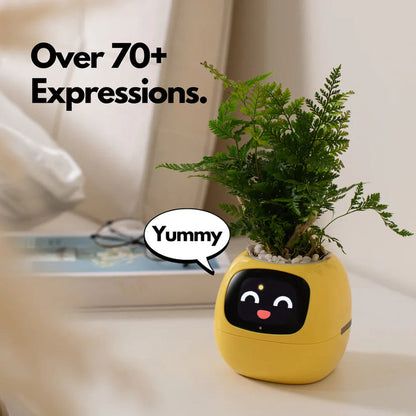 🪴 SMART PET PLANTER