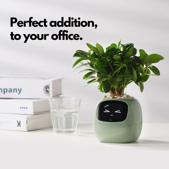 🪴 SMART PET PLANTER