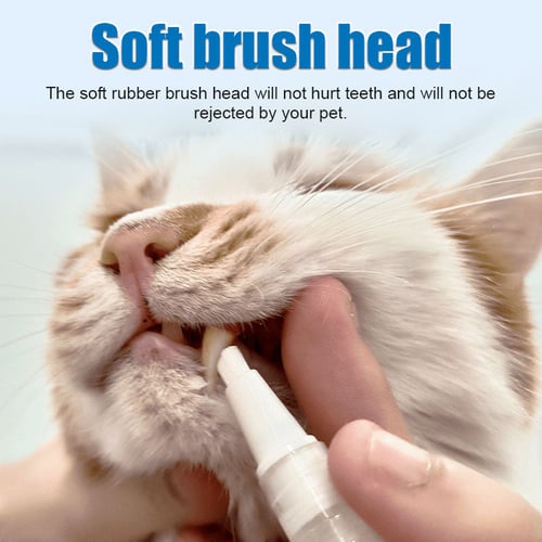 Pet Toothbrush Pen