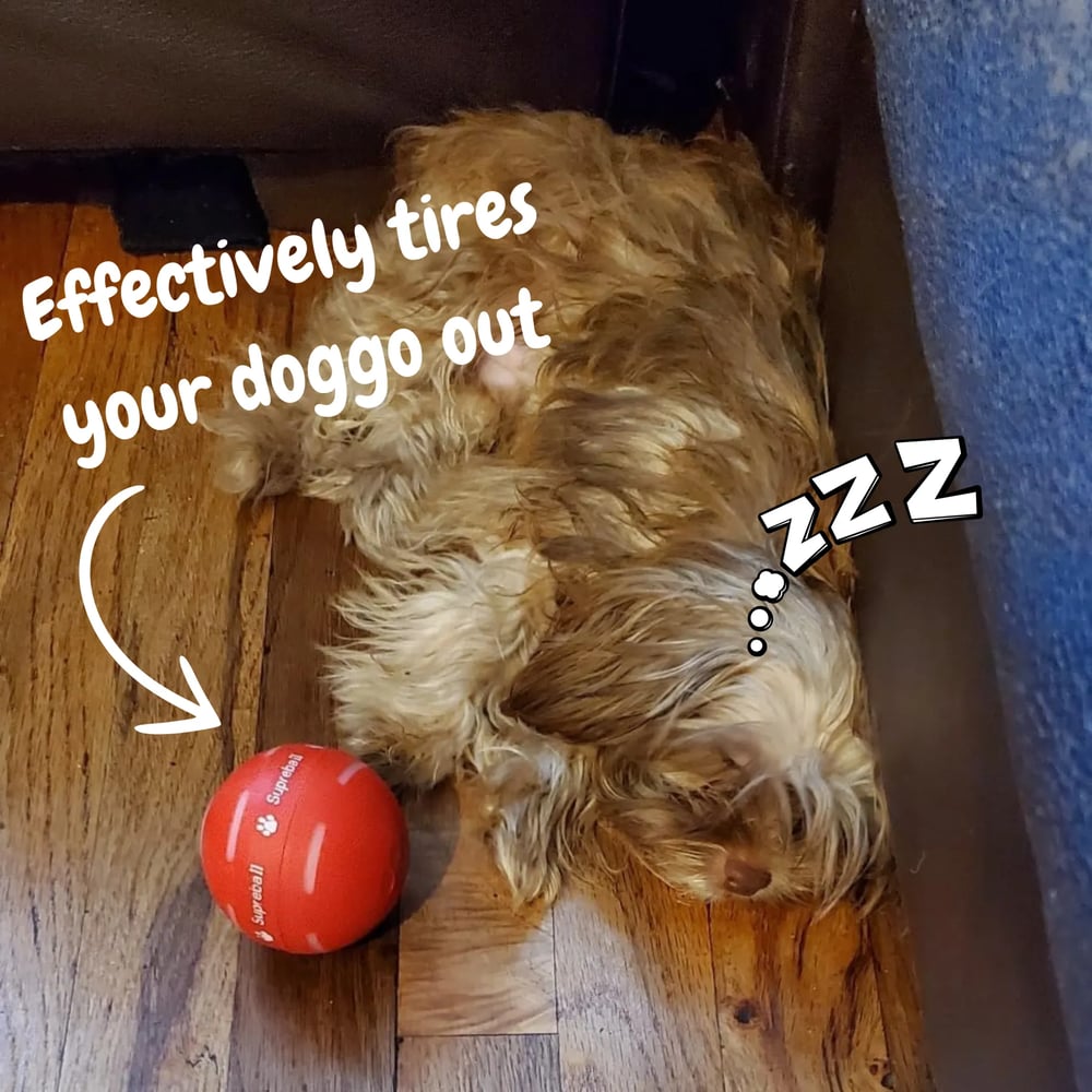 🔥2025 Hot Sale 50% OFF💥-Interactive Dog Toys Dog Ball