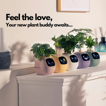 🪴 SMART PET PLANTER