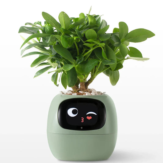 🪴 SMART PET PLANTER