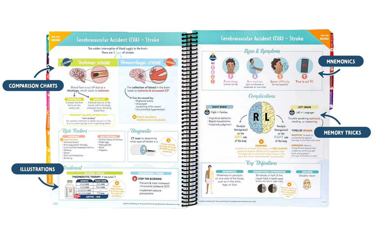 The Complete Nursing School Bundle®