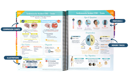 The Complete Nursing School Bundle®