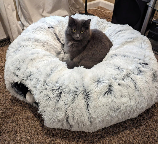 CozyCrawl™ 2 In 1 Cat Tunnel Bed