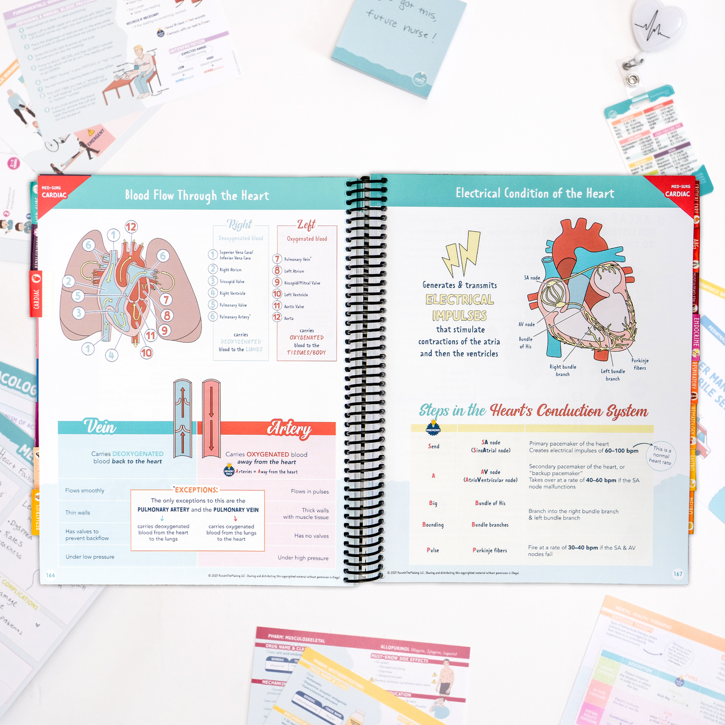 The Complete Nursing School Bundle®