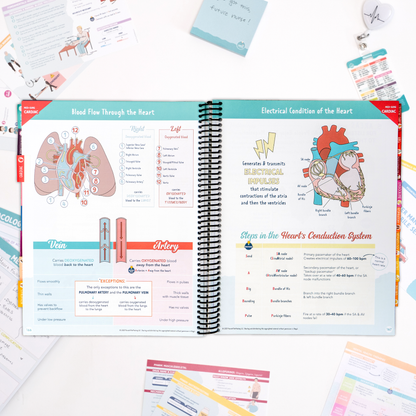 The Complete Nursing School Bundle®