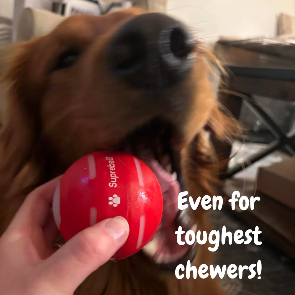 🔥2025 Hot Sale 50% OFF💥-Interactive Dog Toys Dog Ball