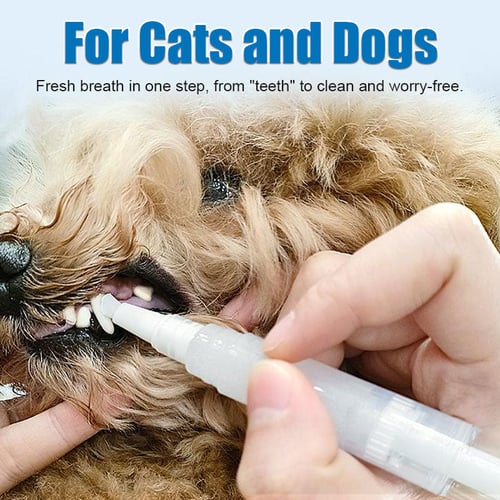 Pet Toothbrush Pen