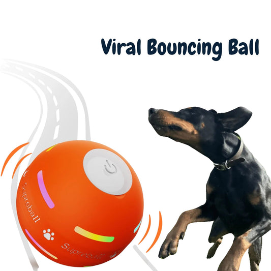 🔥2025 Hot Sale 50% OFF💥-Interactive Dog Toys Dog Ball